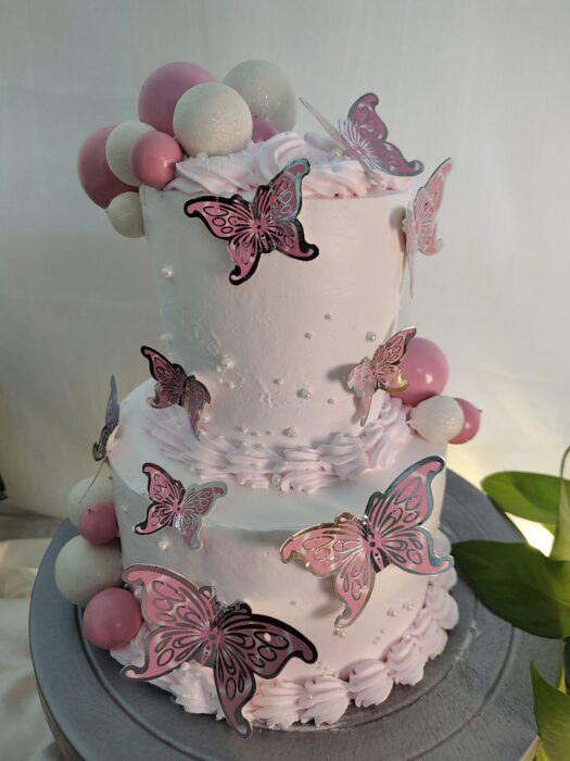 Butterfly Theme 2 layer Cake