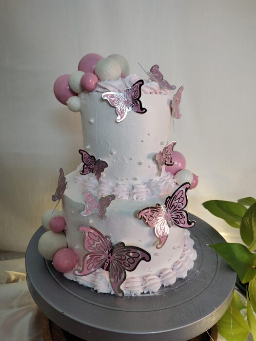 Butterfly Theme 2 layer Cake